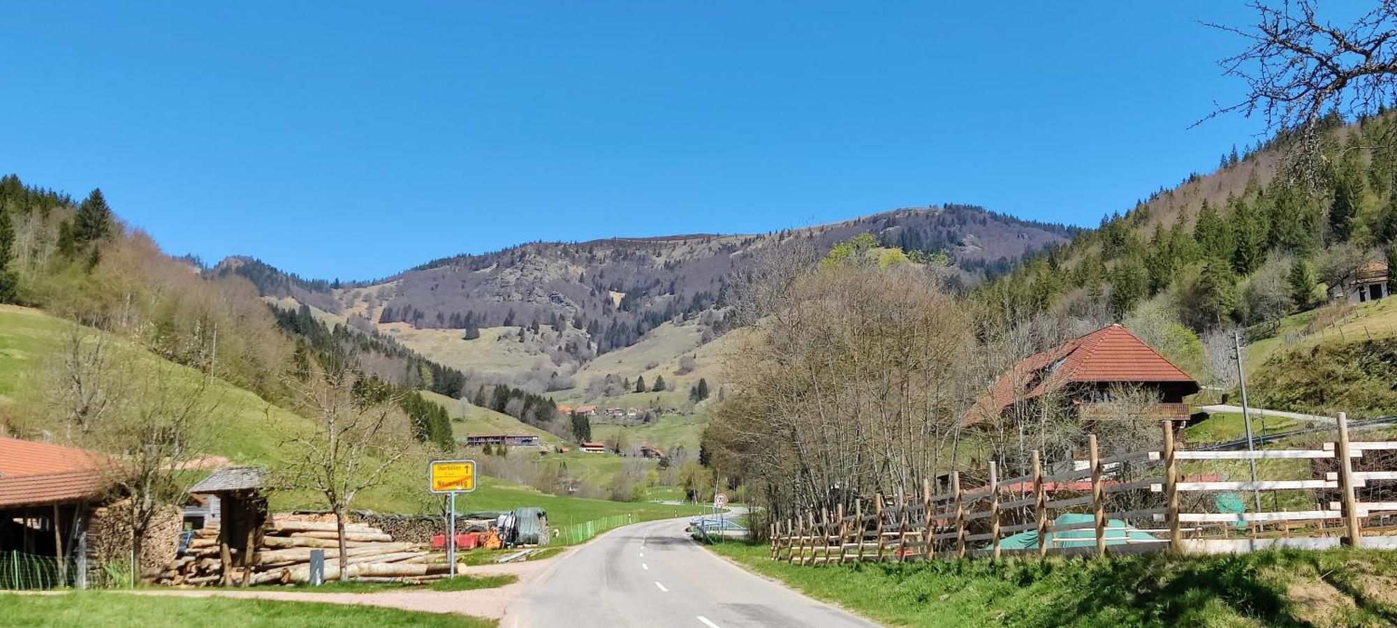 Ferienwohnung Nani Kleines Wiesental Bagian luar foto