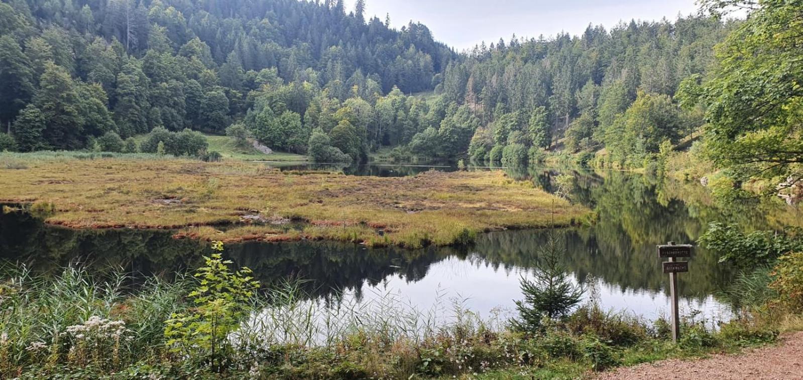 Ferienwohnung Nani Kleines Wiesental Bagian luar foto