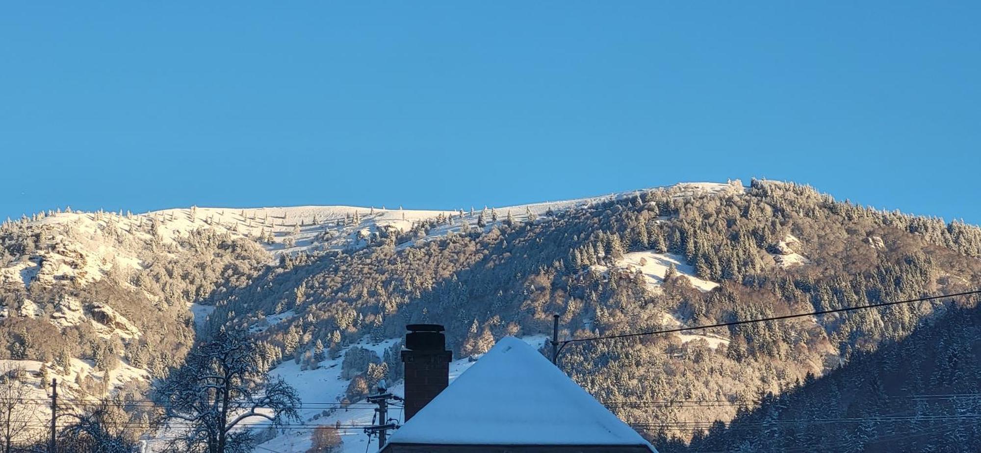 Ferienwohnung Nani Kleines Wiesental Bagian luar foto