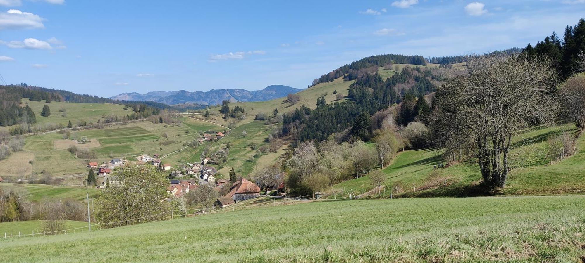 Ferienwohnung Nani Kleines Wiesental Bagian luar foto